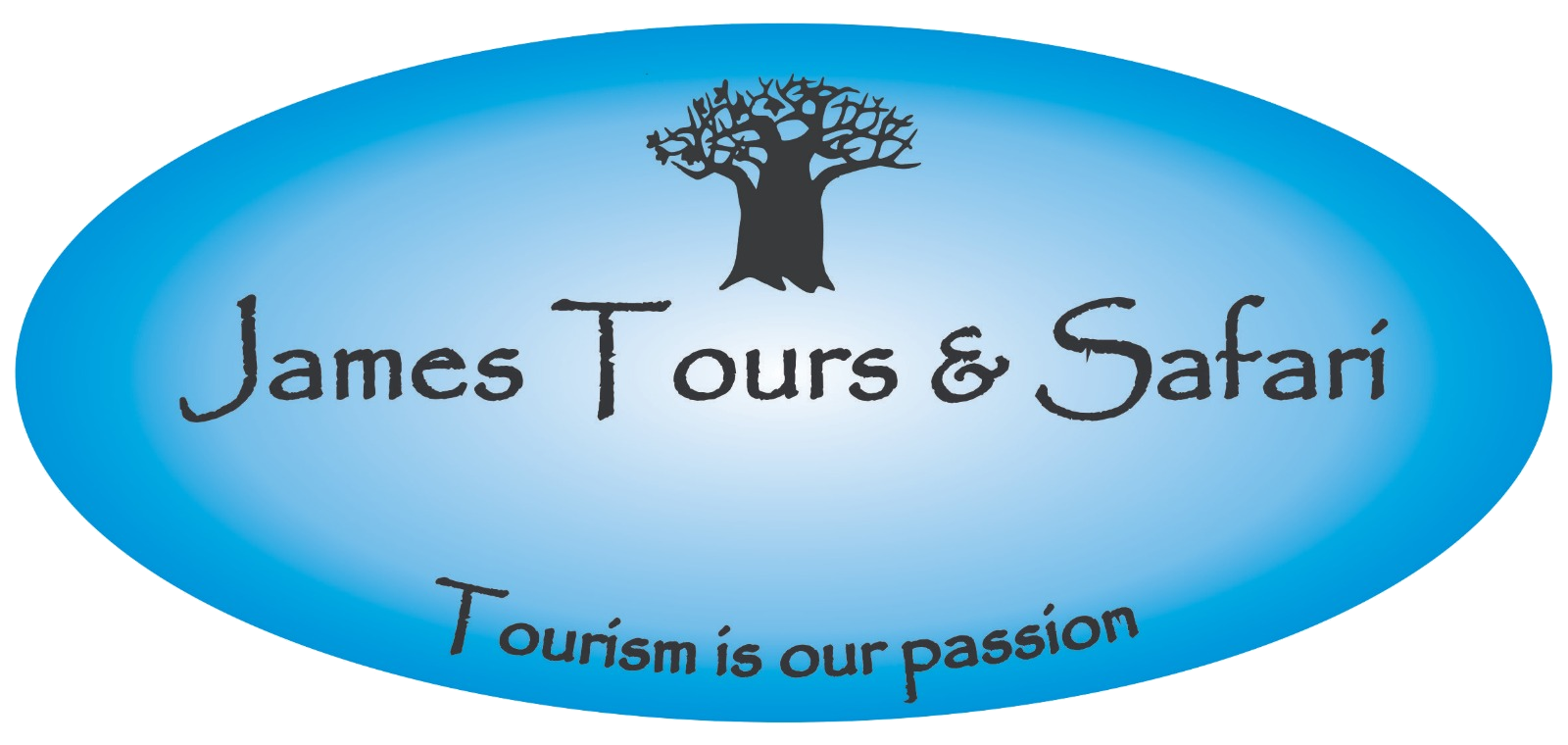 James Tours & Safaris Logo